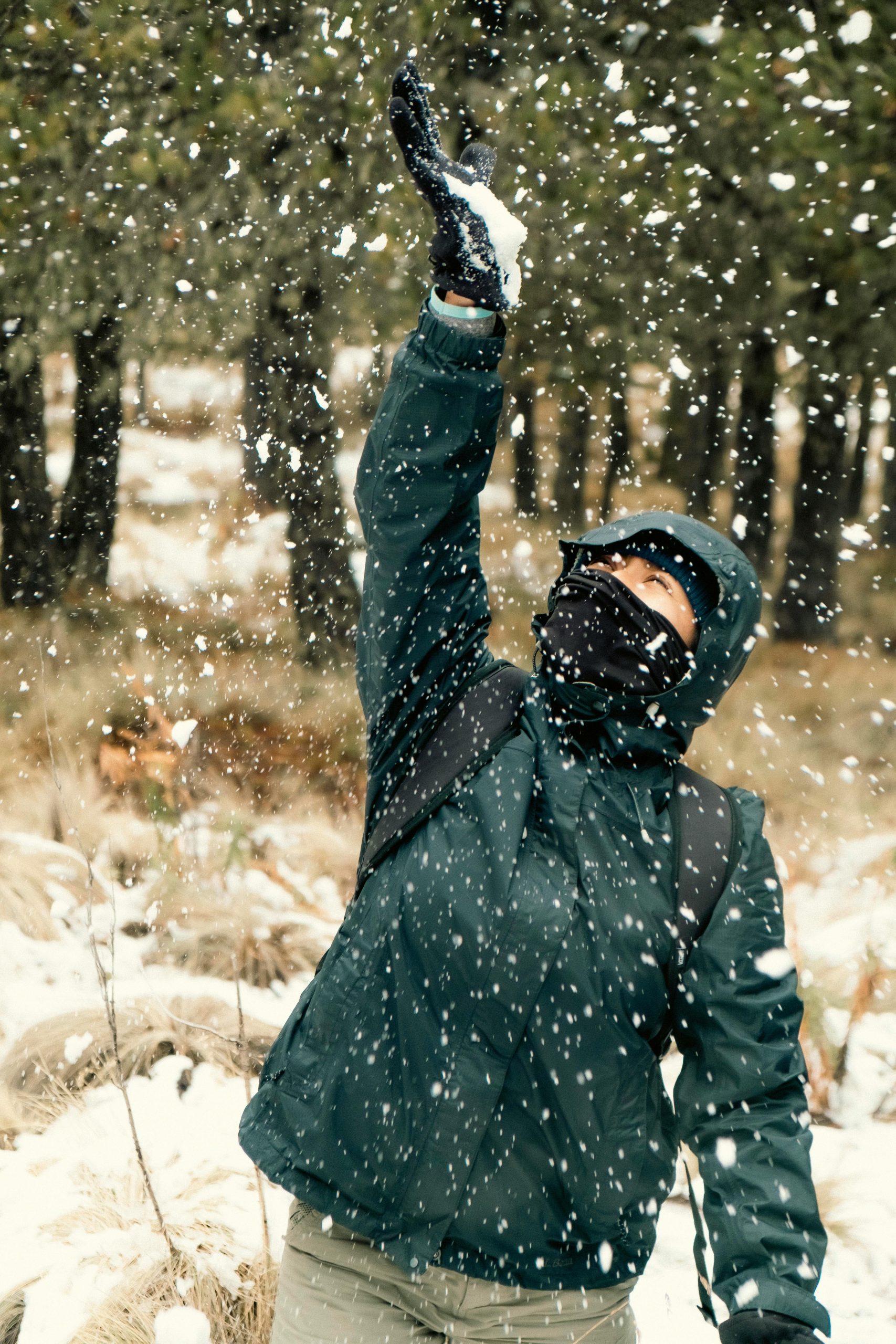Person dressed in winter gear playing with snow outdoors in a forest during winter.